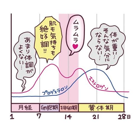 生理 終わりかけ 性欲|生理後は性欲が高まりやすい！理由や上手く付き合う。